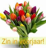 Bloemen 2