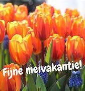 Fijne meivakantie