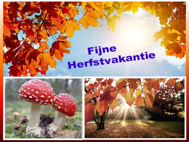 Herfstvakantie 2024 1729013481