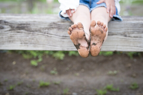 Shutterstock 623373983