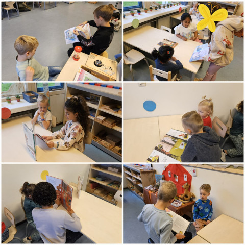 Voorlees 2